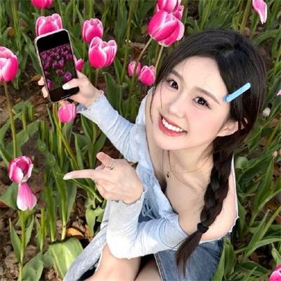 谍网纵横